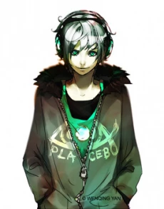 Fisheye Placebo