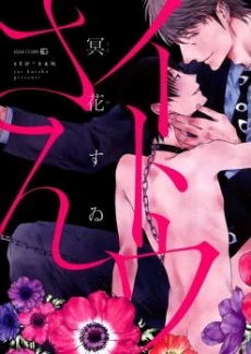 [Cover]