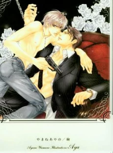 Ayano Yamane Illustrations - Aya