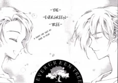The Evergreen Tree