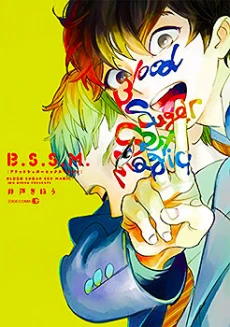 B.S.S.M. - Blood Sugar Sex Magic