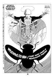 Mysterious Fly Man / Love Juice from a Bewitching Dream