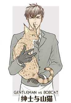 Gentleman VS Bobcat