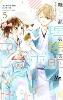 Risouteki Boyfriend