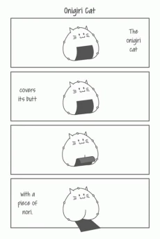 Onigiri Cat