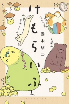 Kemoraifu