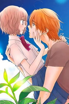 [Cover]