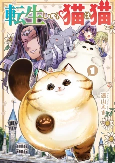 [Cover]